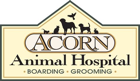 Acorn animal hospital - Veja a opinião de funcionários sobre como é trabalhar na empresa Acorn Animal Hospital. Confira salários, avaliações e muito mais: tudo publicado por funcionários da empresa Acorn Animal Hospital.